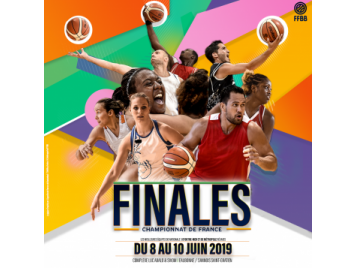 Affiche finales N3