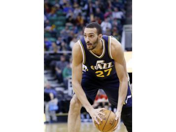 Rudy Gobert